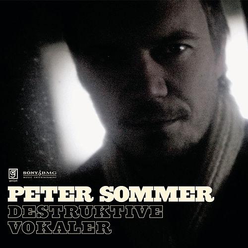 Peter Sommer - 2008 Destruktive Vokaler